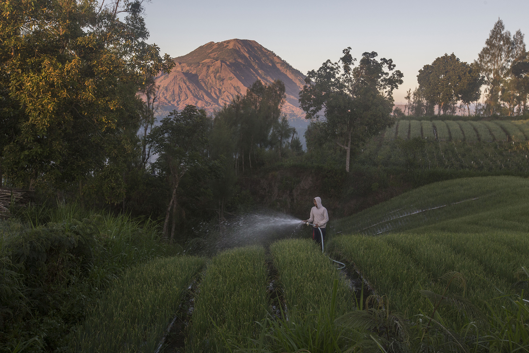 Batur